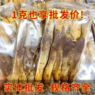 �n�����l�SƤ���������셢���a���B�B������Ҏ���Rȫ