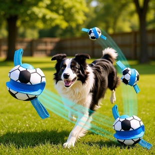 ���R�d���N��������������ߑ��⻥�ӎ��K�ӹ��ߏ�Ӗ�������