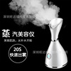 跨境美容蒸脸仪热喷家用喷雾蒸脸器脸部补水仪加湿器嫩肤仪美容仪