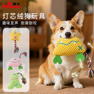 �����l�����˺ҧ��о�qȤζë�q���K������l��С��Ȯ�␞���