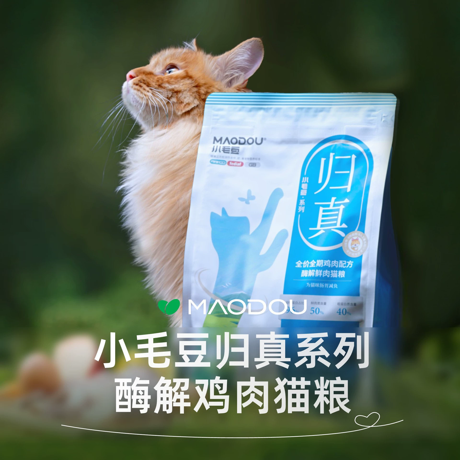 Корм для кошек Xiao Mao Dou Полная цена Свежее мясо Корм для кошек 1,5 кг Куриная формула True Series в котенка Full Stage