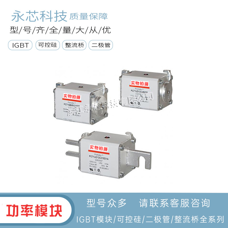 全新原装双连体熔断器保险丝A130UD71LLI250 	G300662现货速发