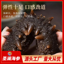 �ߠI�B��ʳ����500g�_���ӹ���ʳ��Ʒ�r���Մ��؛ˮ�a