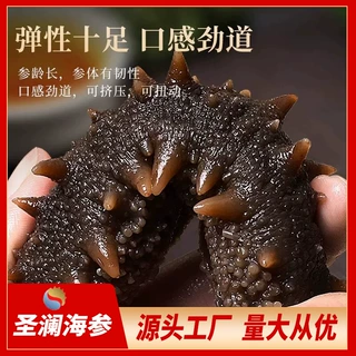 高营养即食海参500g开袋加工速食佳品价格可谈干货水产