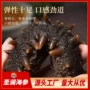 即食水产营养500g袋