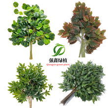 �|ݸ����Gֲֲ����ƽ���֦ �����~ ���~ ������ ����~���z�~