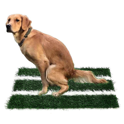 Dog toilet lawn dog potty pet urine pad Teddy medium and large dog urine pot training fixed-point defecation toilet