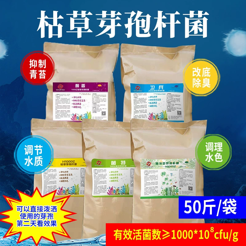 Bacillus subtilis Factory Outlet Аквакультура Бактерии Порошок Очистка воды Перенос воды Ингибирование цианобактерий мха