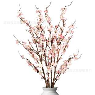 �羳����÷����֦�ٻ��һ��[���҃ȼҾ��b����컨�������D÷�ѻ�