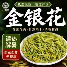 其他药食同源;黄芪;藏红花