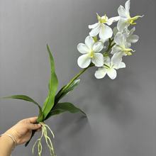 ߙn滨z~fmƷ|ҾP廨[ٻӰg