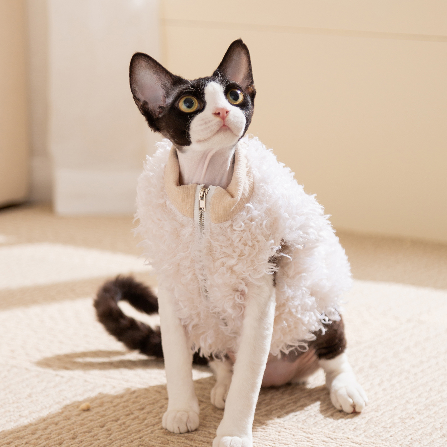 Otoño y invierno nuevo leche lindo cordero tracción abrigo cálido chaleco mascota gato ropa de perro perro pequeño y mediano image 3