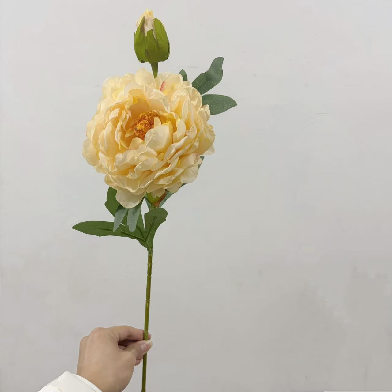 샴페인