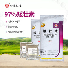 矮壮素97%原药全丰矮化控旺调节剂CCC控旺增产农药原药