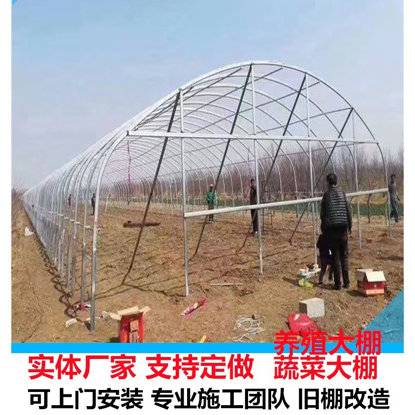 防雨大棚 果树防雨保花 简易大棚造价低 安装方便 出货快 镀锌