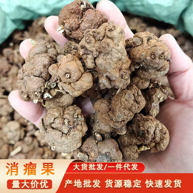 消瘤果瑶族消瘤藤整果云南野生消瘤子香茯苓黄花香果批发野生云南