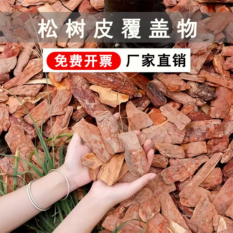 Шлифование коры сосны для озеленения сада