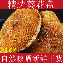 �����P��ș�����ڃ��|���������ѱP�����տ����P���r��ɿ����P