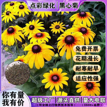 �S��ֱ�N���ľշN�Ӷ��������Ľ����ͺ����⻨��ͥԺ�G�����N��