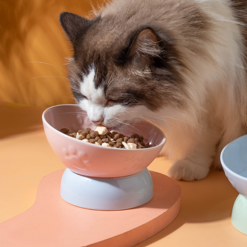 Tacos de cerámica personalizados para gatos Tacos de perros Tacos de protección de cuello de gato Tacos de alimentación de agua Tacos de mascotas Tacos de mascotas