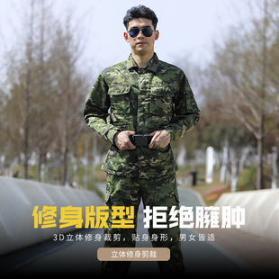 ��ʽ�����Բʷ����b�д�W��܊Ӗ���Բʷ��ڱ�����܊Ӗ�������bŮ