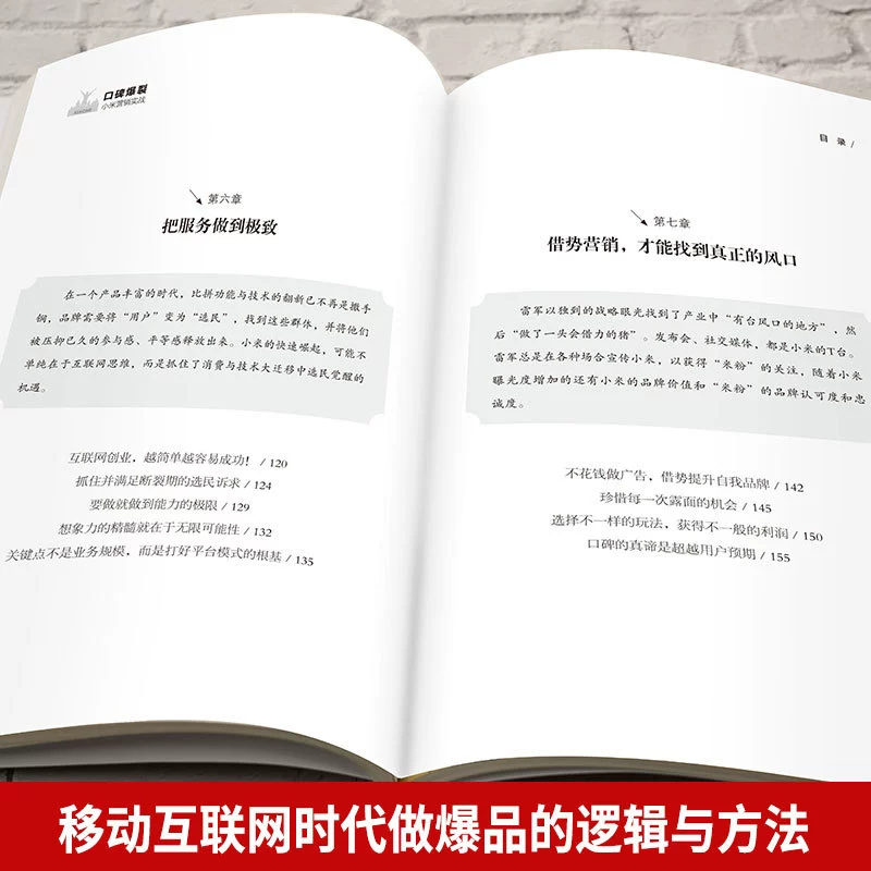 Вирусный маркетинг: практика продвижения Xiaomi без спецификаций, книги