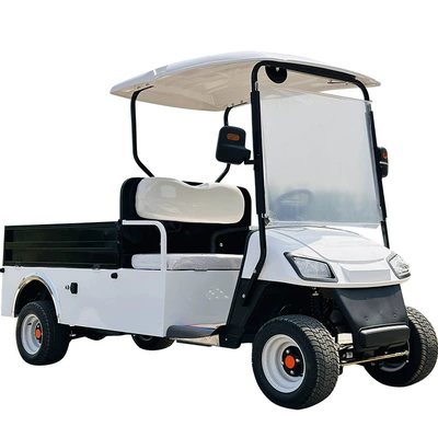 car dining car, Elektrikli qolf avtomobilləri