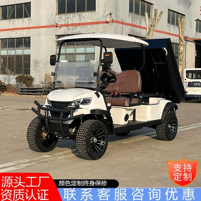 2-Seater Electric Off-Road Golf Cart, Tourist Vehicle for Scenic Spots, Hotel, Tourist Park, and Shuttle Bus