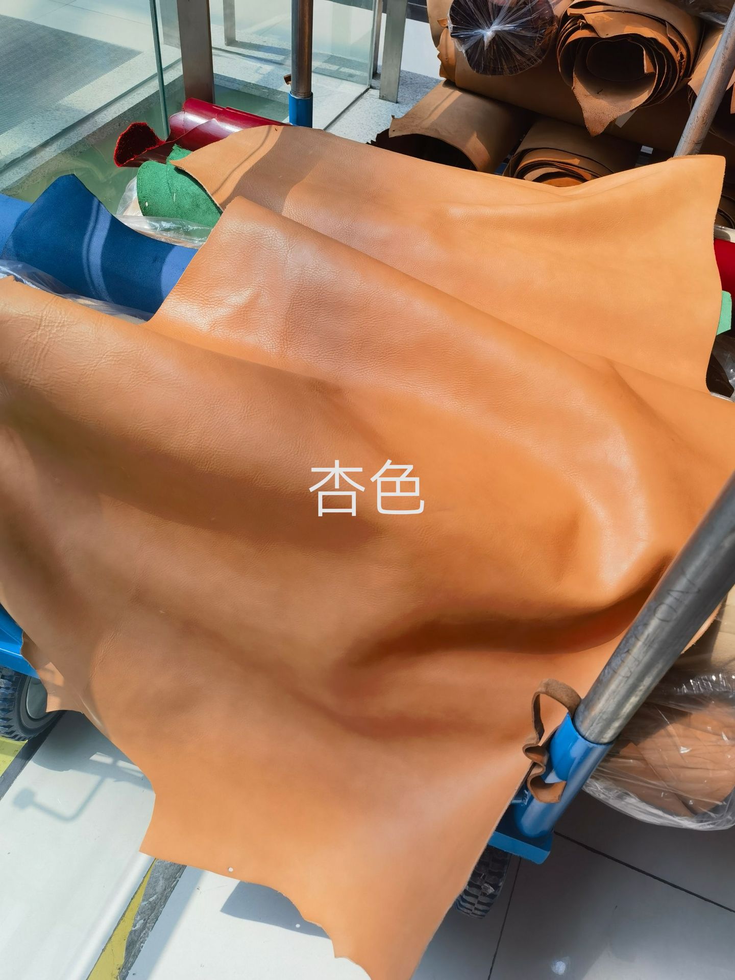 微信图片_20230609150433