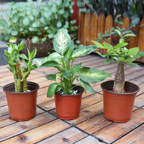Factory direct sales two-color flower pot PP simple soft plastic seedling nursery home gardening succulent flower pot wholesale manufacturer