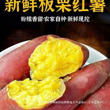 ɽ�|�ع�����ɽ��������Ŵ�o�zɳ�صعϸ����S�Į����r�����r�t��