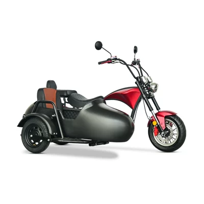 Elektrikli motosikletlər Series R2Eec Dot Adult
