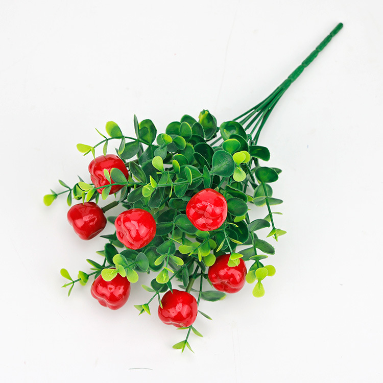 유칼립투스 사과