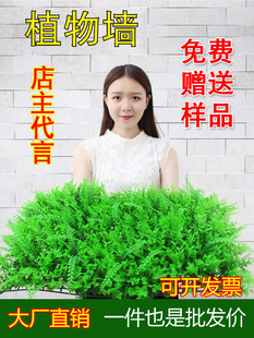 ֲ��Gֲ�����ƺ��Ƥ�͏d���ϼٻ��T�^�̨���������b�