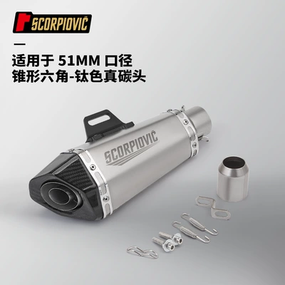 GPR250 universal 51MM, Motorcycle exhaust pipe - conical-hexagonal-titanium-color-real-carbon-head