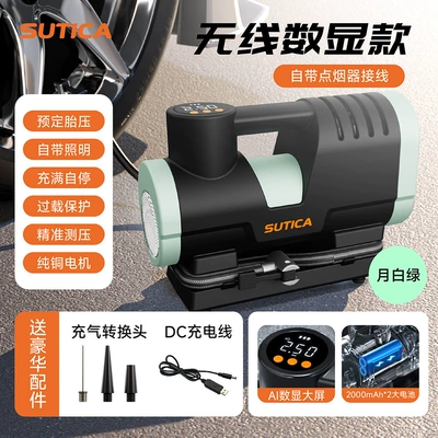 Pump, Car Air Pump, Electric: Hava nasosu - green-wireless-digital-display-model