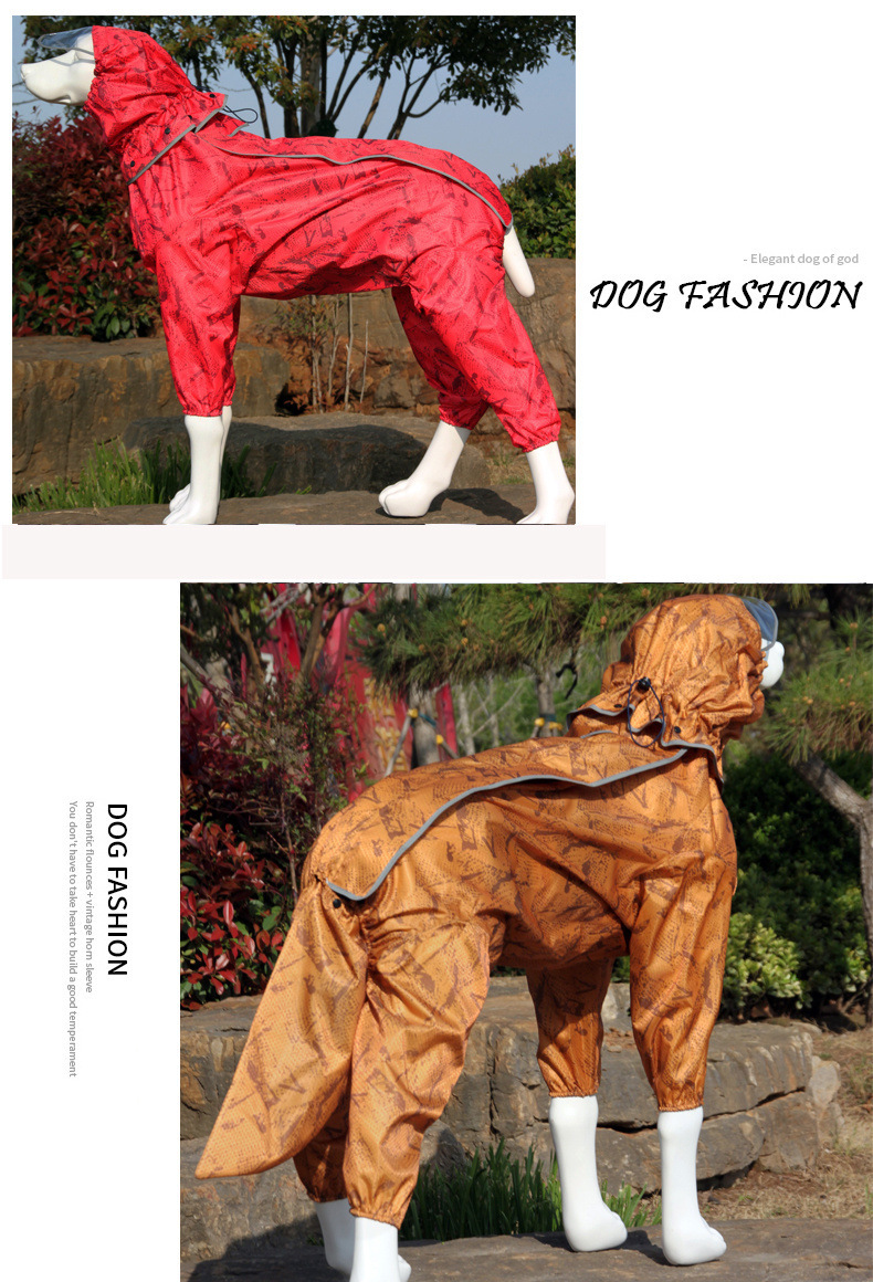 d96487e9-5df6-435f-91db-10b07a61cbe1.jpe