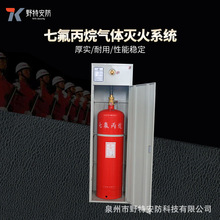 七氟丙烷柜式气体灭火装置 机房配电室消防器材灭火设备生产批发