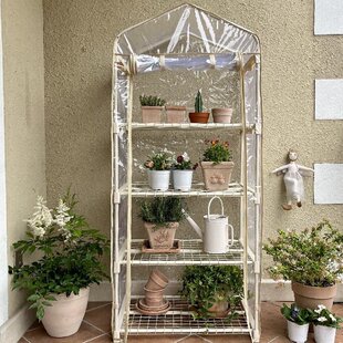 �Č�PVC�װ�ɫů�����һ��@���Զ�������������㻨��ֲ�ﱣ����