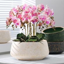 特大口径蝴蝶兰花盆简约现代个性白色粗陶透气兰花兰草专用陶瓷盆