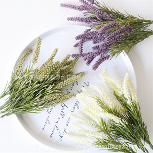 ޹�²�������ѿ��ֲë�ѻ���c��������ĭ���黨����������c����