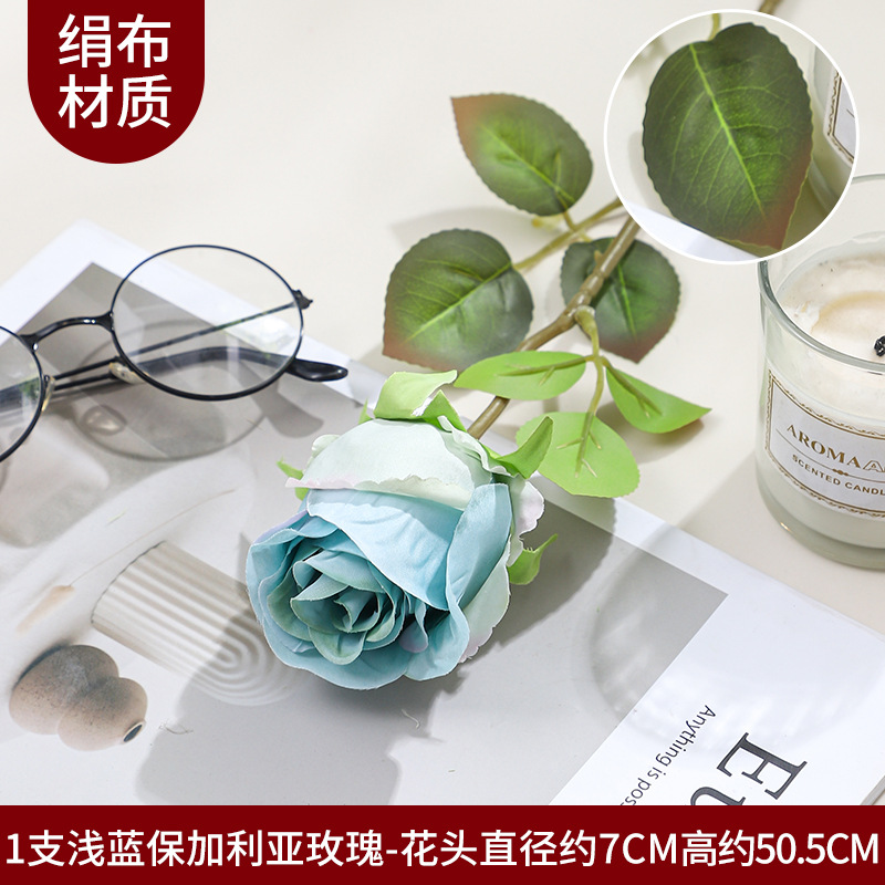 단일 헤드 불가리아 1 스틱-블루