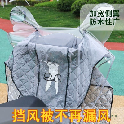 Rainproof Dust Cover Electric Vehicle: Universal Auto Parts and Accessories