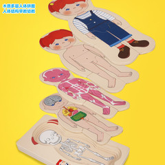Preschool early education wooden multi-layer human body structure puzzle for boys and girls human organ puzzle