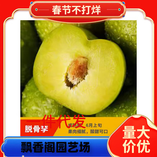 һ�����l���Ә�����ش�ͥԺ��������ϱ����Nֲ�޽ӷ������A����