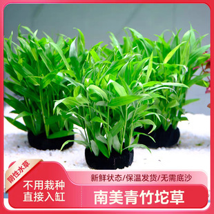 �����������ݲݸ��~��ԭ���쾰ˮ�����ˮ������ˮ����Ի��wֲ