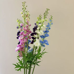 ���滨�w���ֲ�q�󻨻��{ɫ�L���ӻ�c��Y�b��Ĕz�������l