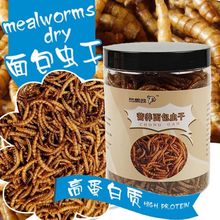 �}����Ʒ����x���S���x�}��Zʳ��z��ʳ���o����r���~��Ͱ�b