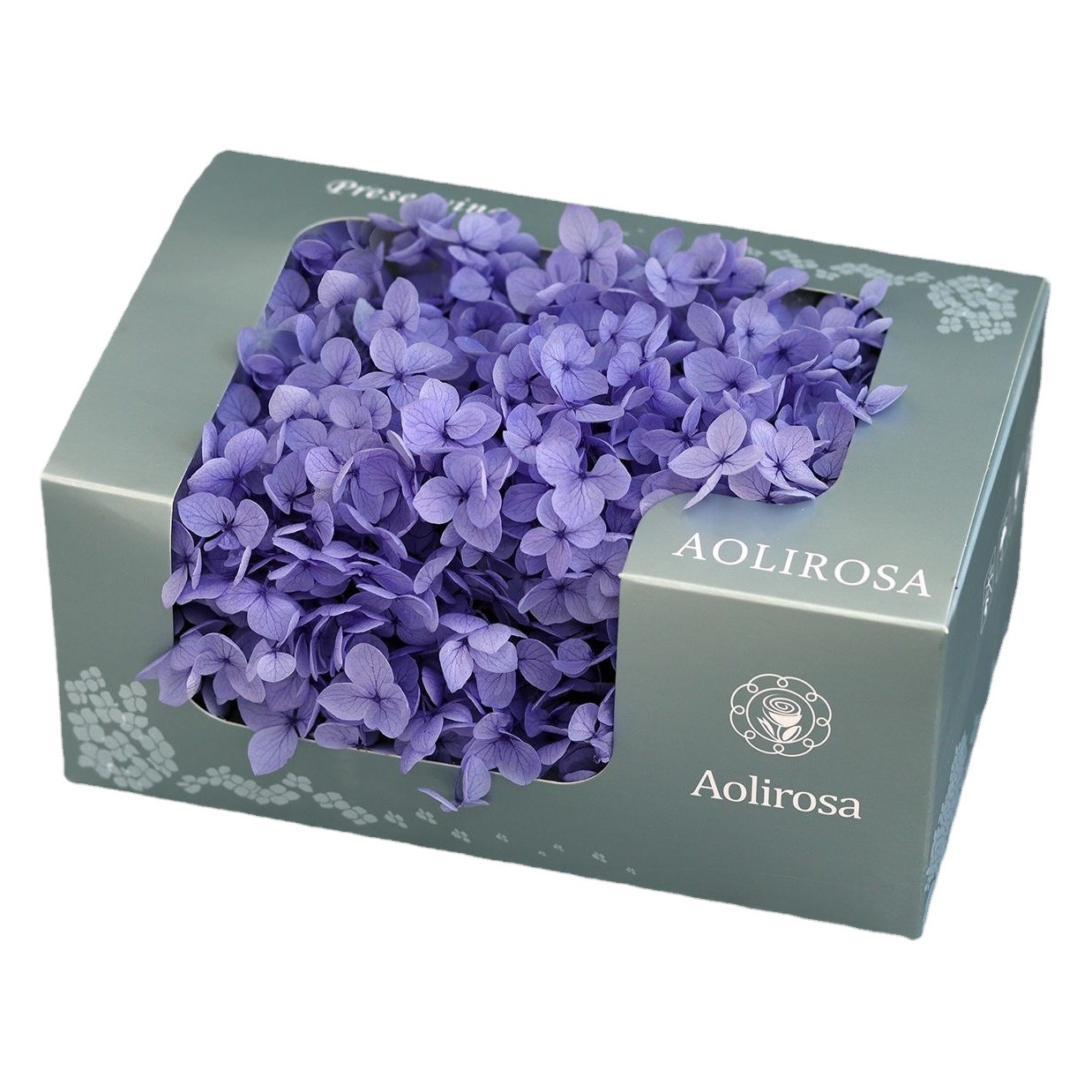 Grado A Anna Hortensia flor permanente flor seca Hortensia de hoja pequeña 20g Hortensia en caja fábrica al por mayor MATERIAL DE FLOR DE San Valentín