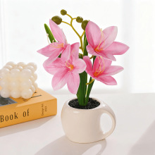 4�^���m���辰���滨�҃��b�Ʒ���컨����Ҿӕ����͏d�[������